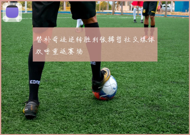 替补奇迹逆转胜利张稀哲社交媒体欢呼重返赛场