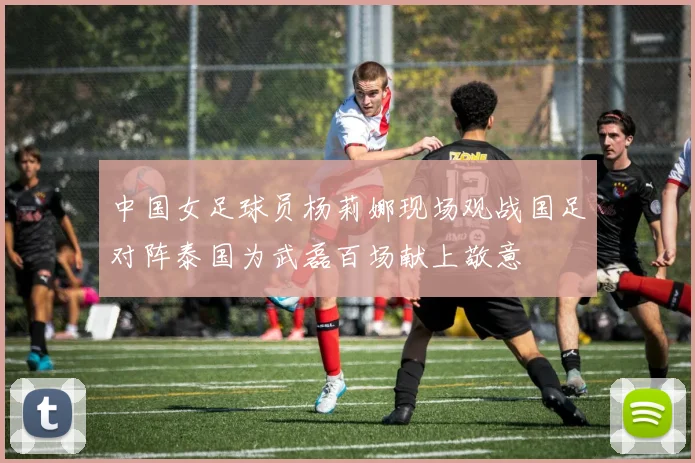 中国女足球员杨莉娜现场观战国足对阵泰国为武磊百场献上敬意