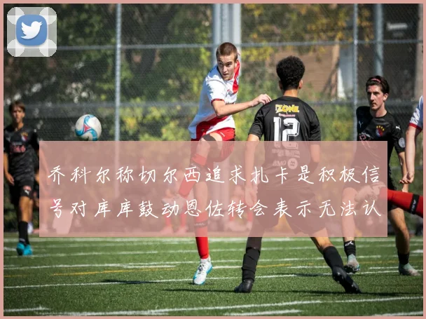 乔科尔称切尔西追求扎卡是积极信号对库库鼓动恩佐转会表示无法认同